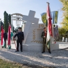 BZS_4953