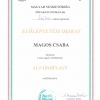 ELŐLÉPTETÉSI-MAGOS-CSABA-ALTÁBORNAGY