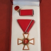 Kitüntetés9